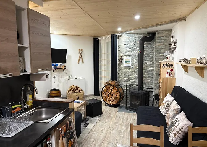 Foux D'allos 6 Couchages * Allos